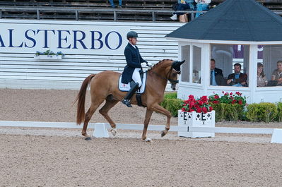 Dresuur 7 års championats finale
Keywords: falsterbo;rune willum;dodley pax