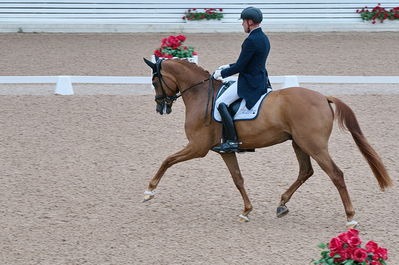 Dresuur 7 års championats finale
Keywords: falsterbo;rune willum;dodley pax