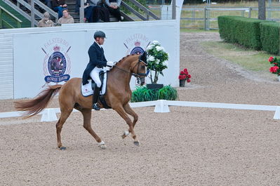 Dresuur 7 års championats finale
Keywords: falsterbo;rune willum;dodley pax