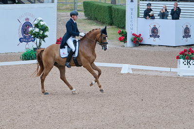Dresuur 7 års championats finale
Keywords: falsterbo;rune willum;dodley pax