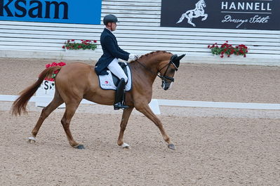 Dresuur 7 års championats finale
Keywords: falsterbo;rune willum;dodley pax