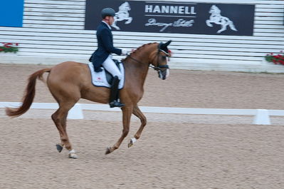 Dresuur 7 års championats finale
Keywords: falsterbo;rune willum;dodley pax