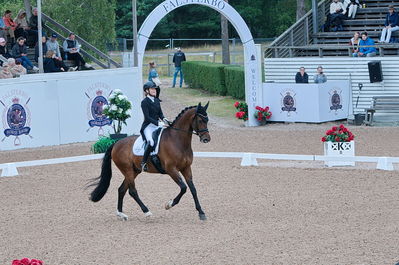 Dresuur 7 års championats finale
Keywords: falsterbo;astrid gemal valego majlund