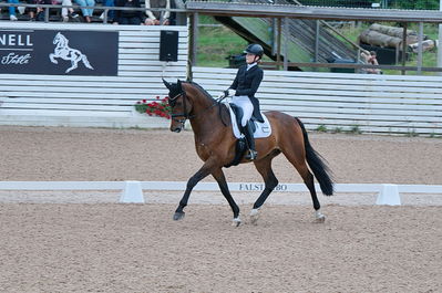 Dresuur 7 års championats finale
Keywords: falsterbo;astrid gemal valego majlund