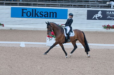 Dresuur 7 års championats finale
Keywords: falsterbo;astrid gemal valego majlund