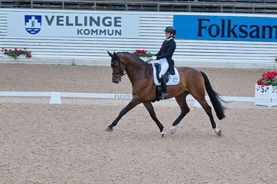 Dresuur 7 års championats finale
Keywords: falsterbo;astrid gemal valego majlund
