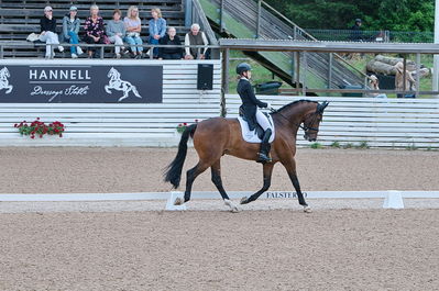 Dresuur 7 års championats finale
Keywords: falsterbo;astrid gemal valego majlund