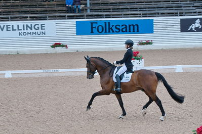 Dresuur 7 års championats finale
Keywords: falsterbo;astrid gemal valego majlund