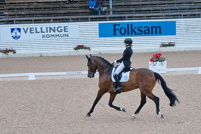 Dresuur 7 års championats finale
Keywords: falsterbo;astrid gemal valego majlund