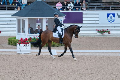 Dresuur 7 års championats finale
Keywords: falsterbo;astrid gemal valego majlund