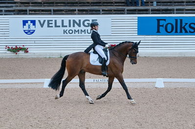 Dresuur 7 års championats finale
Keywords: falsterbo;astrid gemal valego majlund