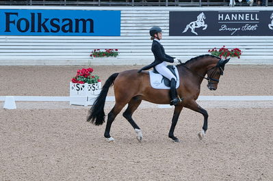 Dresuur 7 års championats finale
Keywords: falsterbo;astrid gemal valego majlund