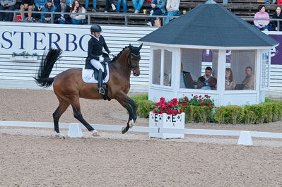 Dresuur 7 års championats finale
Keywords: falsterbo;astrid gemal valego majlund