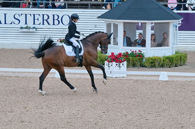 Dresuur 7 års championats finale
Keywords: falsterbo;astrid gemal valego majlund