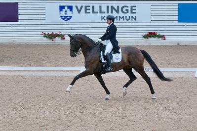 Dresuur 7 års championats finale
Keywords: falsterbo;lone bang zindorf;stald magic secret hope