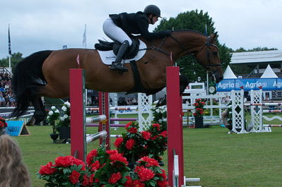 Folksam Open 5-åriga hästar | Final - 1.25
Keywords: falsterbo;showjump;laila pedersen;unforgiven