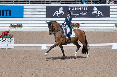 CDI3 Grand Prix Kür presented by Hannell Dressage Stable
Keywords: dressur;falsterbo;caroline darvourt;lord django