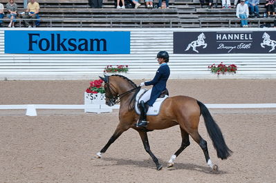 CDI3 Grand Prix Kür presented by Hannell Dressage Stable
Keywords: dressur;falsterbo;caroline darvourt;lord django