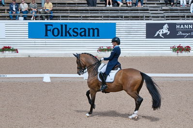 CDI3 Grand Prix Kür presented by Hannell Dressage Stable
Keywords: dressur;falsterbo;caroline darvourt;lord django