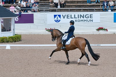 CDI3 Grand Prix Kür presented by Hannell Dressage Stable
Keywords: dressur;falsterbo;caroline darvourt;lord django
