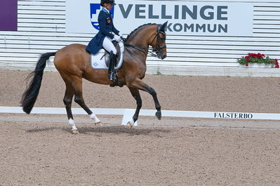 CDI3 Grand Prix Kür presented by Hannell Dressage Stable
Keywords: dressur;falsterbo;caroline darvourt;lord django