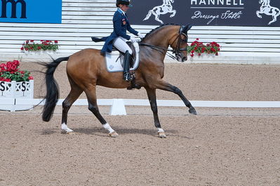 CDI3 Grand Prix Kür presented by Hannell Dressage Stable
Keywords: dressur;falsterbo;caroline darvourt;lord django