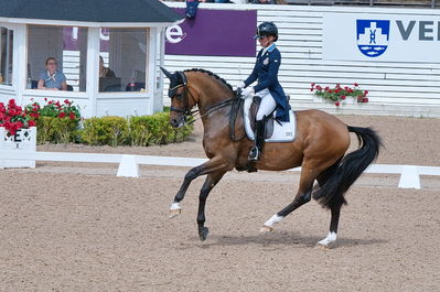 CDI3 Grand Prix Kür presented by Hannell Dressage Stable
Keywords: dressur;falsterbo;caroline darvourt;lord django