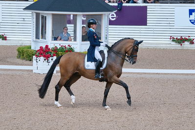 CDI3 Grand Prix Kür presented by Hannell Dressage Stable
Keywords: dressur;falsterbo;caroline darvourt;lord django