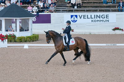 CDI3 Grand Prix Kür presented by Hannell Dressage Stable
Keywords: dressur;falsterbo;karoline rohman;jakas don louvre