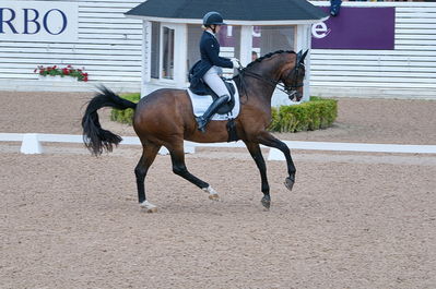 CDI3 Grand Prix Kür presented by Hannell Dressage Stable
Keywords: dressur;falsterbo;karoline rohman;jakas don louvre