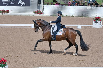 CDI3 Grand Prix Kür presented by Hannell Dressage Stable
Keywords: dressur;falsterbo;karoline rohman;jakas don louvre