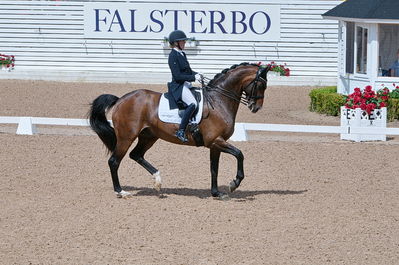 CDI3 Grand Prix Kür presented by Hannell Dressage Stable
Keywords: dressur;falsterbo;karoline rohman;jakas don louvre
