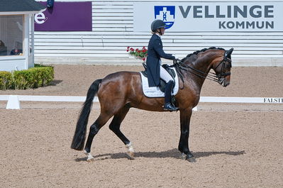 CDI3 Grand Prix Kür presented by Hannell Dressage Stable
Keywords: dressur;falsterbo;karoline rohman;jakas don louvre