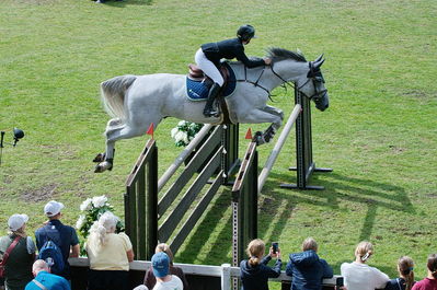 CSIO5 Falsterbo Derby (277) 1.50m
Keywords: derby;falsterbo;showjumping;sanne thijssen;Quel Vedet van de Grenshoeve