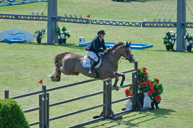 CSIO5 Falsterbo Derby (277) 1.50m
Keywords: derby;falsterbo;showjumping;martin despaso;Mr Quincy B