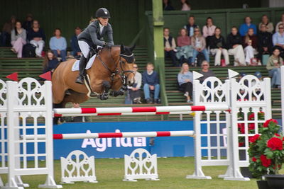 Folksam Open 6-åriga hästar | Final
Keywords: falsterbo;showjumpimg;karen moeller rohde;fiotina ask