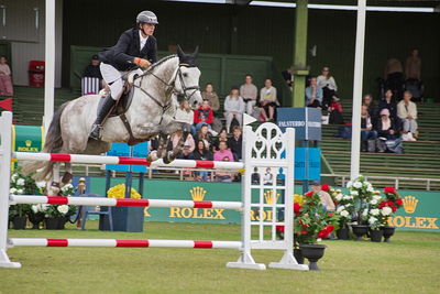 Folksam Open 6-åriga hästar | Final
Keywords: falsterbo;showjumpimg;thomas koldborg johansen;airborn lux