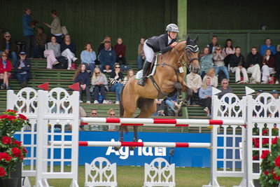 Folksam Open 6-åriga hästar | Final
Keywords: falsterbo;showjumpimg;josefine boeg;chacco gold