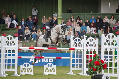 Folksam Open 6-åriga hästar | Final
Keywords: falsterbo;showjumpimg;ida mundbjerg hansen;worres caballo