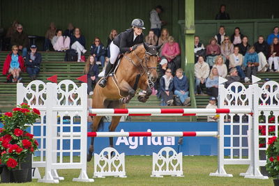 Folksam Open 6-åriga hästar | Final
Keywords: falsterbo;showjumpimg;anne koldborg johansen;optirock kj