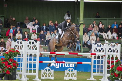 Folksam Open 6-åriga hästar | Final
Keywords: falsterbo;showjumpimg;fredrik berg seim;one million ps