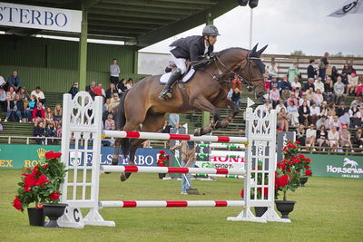 Folksam Open 6-åriga hästar | Final
Keywords: falsterbo;showjumpimg;fredrik berg seim;one million ps