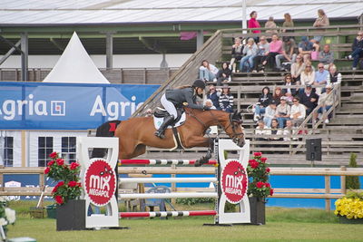 Folksam Open 6-åriga hästar | Final
Keywords: falsterbo;showjumpimg;karen moeller rohde;veline ask