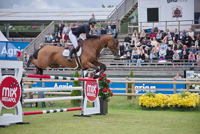 Folksam Open 6-åriga hästar | Final
Keywords: falsterbo;showjumpimg;sarah albus;colonargos z