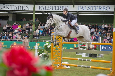Folksam Open 6-åriga hästar | Final
Keywords: falsterbo;showjumpimg;sanne amstrup;im mozzie a