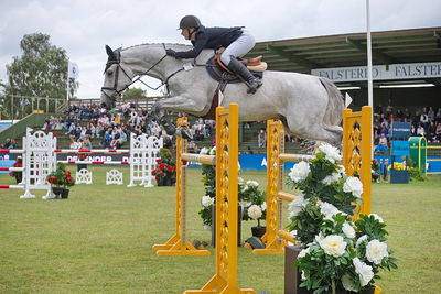 Folksam Open 6-åriga hästar | Final
Keywords: falsterbo;showjumpimg;sanne amstrup;im mozzie a