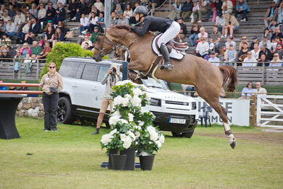Horseware 7-årschampionat | Final - 1.40
Keywords: falsterbo;showjumping;sarah albus;big centaire