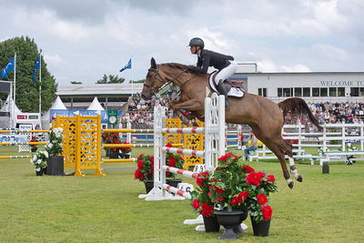 Horseware 7-årschampionat | Final - 1.40
Keywords: falsterbo;showjumping;sarah albus;big centaire