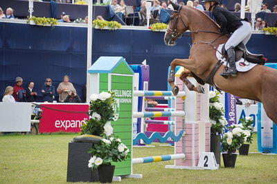 Horseware 7-årschampionat | Final - 1.40
Keywords: falsterbo;showjumping;ida mundbjerg hansen;worres camara