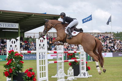 Horseware 7-årschampionat | Final - 1.40
Keywords: falsterbo;showjumping;ida mundbjerg hansen;worres camara